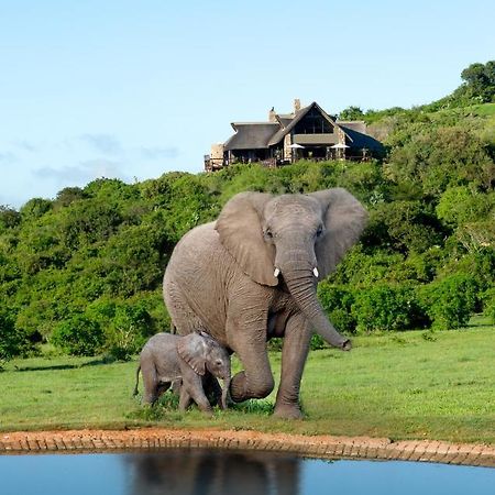 Hopewell Private Game Reserve Buyskloof المظهر الخارجي الصورة