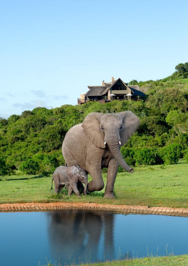 Hopewell Private Game Reserve Buyskloof المظهر الخارجي الصورة