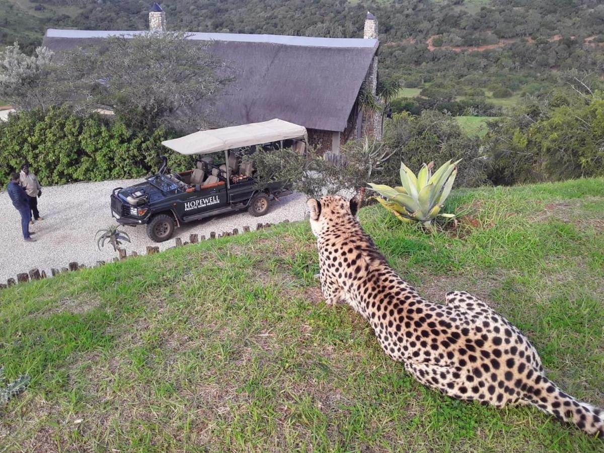 Hopewell Private Game Reserve Buyskloof المظهر الخارجي الصورة