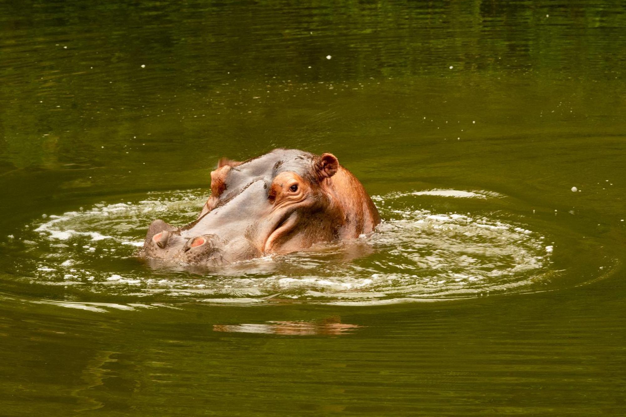 Hopewell Private Game Reserve Buyskloof المظهر الخارجي الصورة