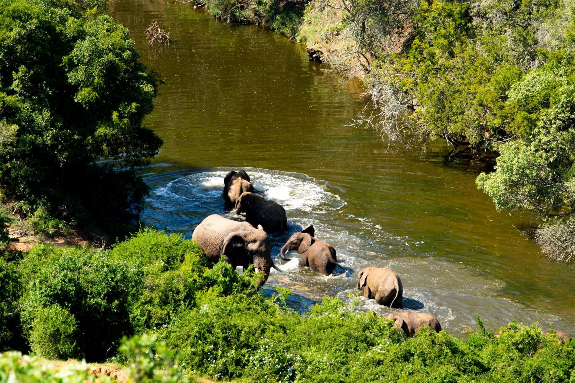 Hopewell Private Game Reserve Buyskloof المظهر الخارجي الصورة