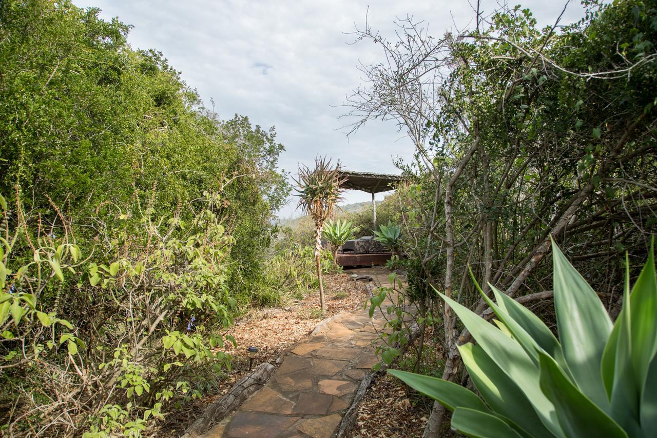 Hopewell Private Game Reserve Buyskloof المظهر الخارجي الصورة