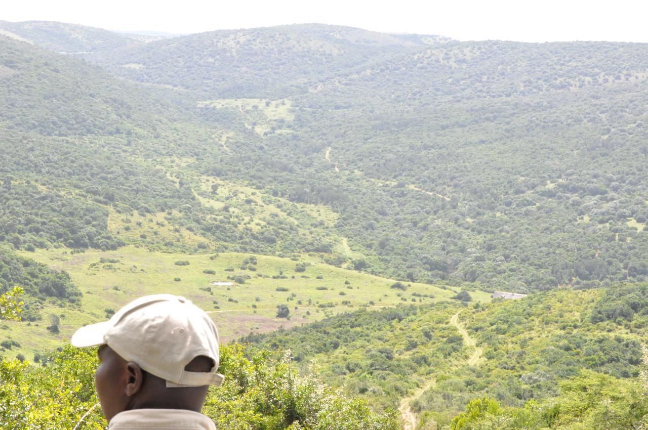 Hopewell Private Game Reserve Buyskloof المظهر الخارجي الصورة